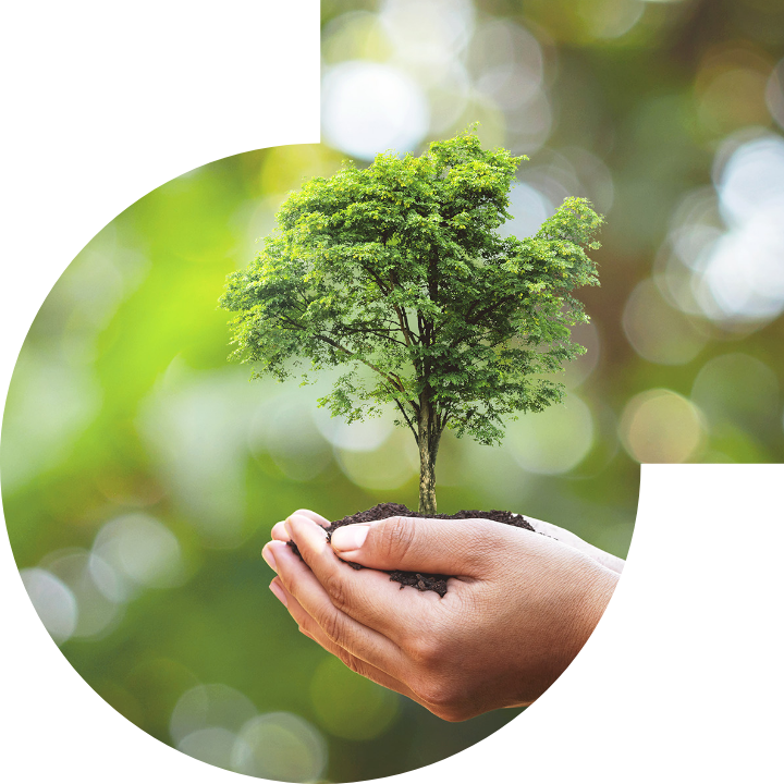 关怀人类、文化、环境与社会